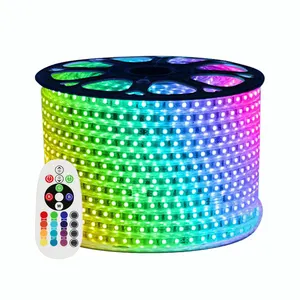  מפעל ייצור שלט רחוק 220V RGB 5050 שורה אחת רצועת אור