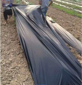 Masterbatch de couleur gris argenté noir de qualité film soufflé PE de la marque Rongfeng, film de paillage <span class=keywords><strong>agricole</strong></span> sans odeurs - Product Image 2