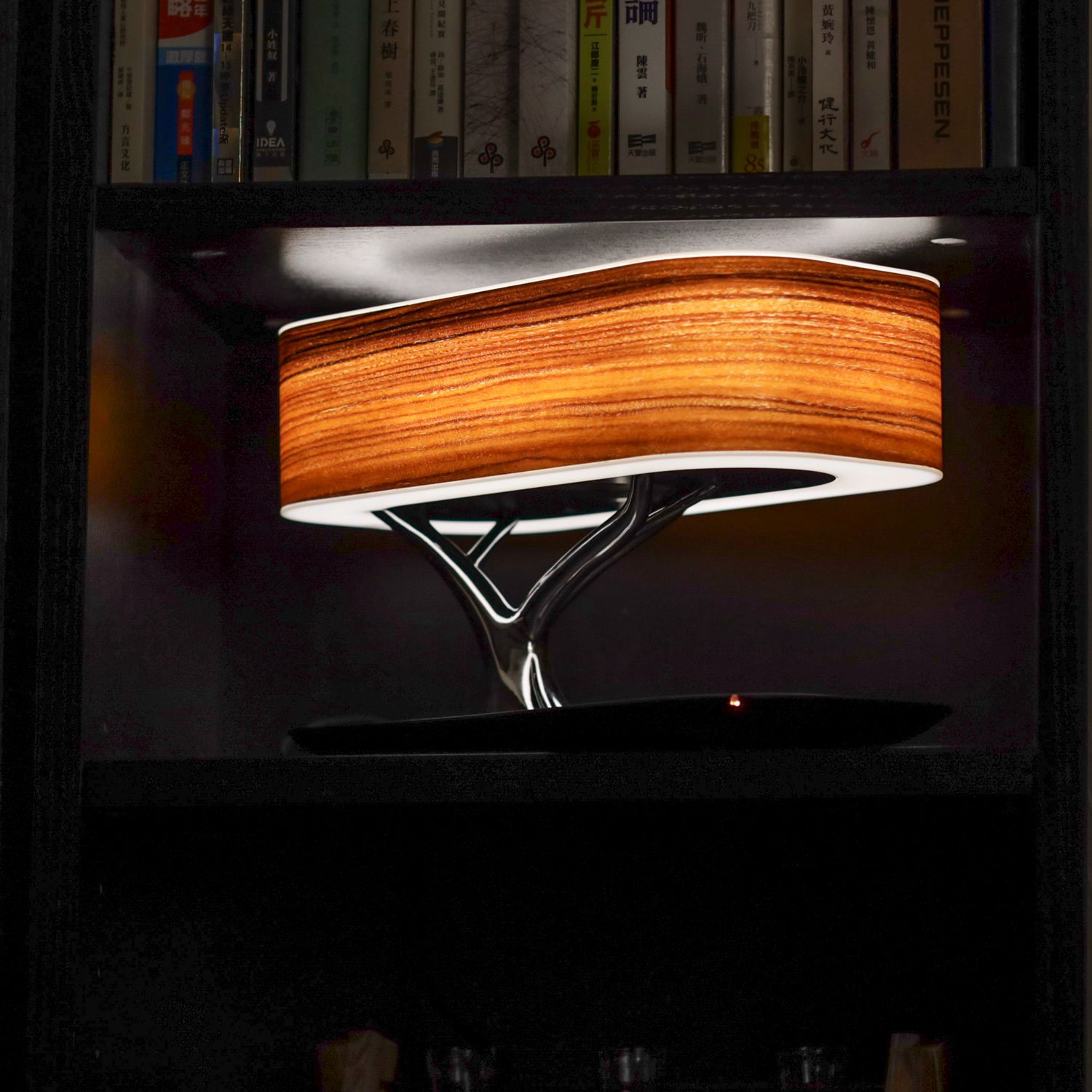 phone charger with speaker with night light