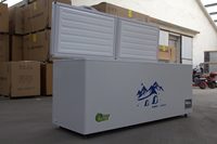 Congélateur coffre double porte en acier inoxydable pour cantine