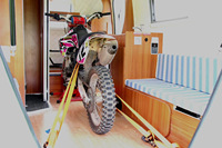 Nouvelle caravane AWISY tout-en-un pour le voyage, avec garantie d'un an sur les composants essentiels, idéale pour les hôtels et le commerce de détail