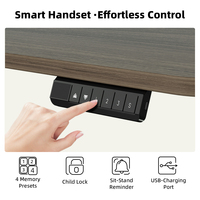 Table de bureau électrique réglable en hauteur avec double moteur, bureaux assis-debout, mobilier intelligent