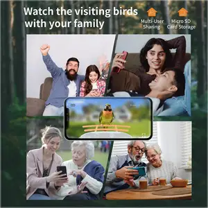 Grosir baru kualitas tinggi tahan air luar ruangan HD kamera Smart Bird Feeder dengan Panel surya pengenalan AI mangkuk hewan peliharaan & pengumpan