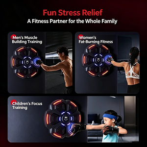 Máquina de Boxeo Inteligente con Música para Pared, Objetivo de Boxeo Doméstico, Herramientas de Cuidado Personal, GZ RTS, Venta al por Mayor, Envío en 3 Días, Pedidos Mixtos a Granel - Product Image 2