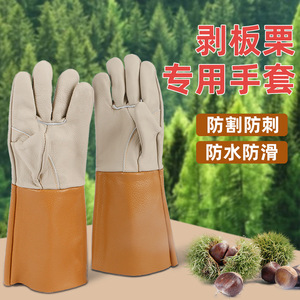 <b>Chestnut</b> Picking Gloves Thickened Cut Resistant Waterproof For Gardening Landscaping Agriculture - Product Image 1