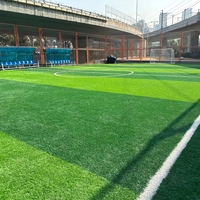 Césped Deportivo Premium APEX al por Mayor, Compatible con OEM, Múltiples Opciones de Color, Césped Artificial para Canchas de Tenis, Uso Interior y Exterior