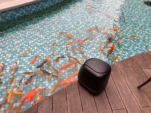 التلقائي حوض وحدة تغذية أسماك ، بركة المغذية ، تغذية الأسماك في المزرعة - Product Image 5