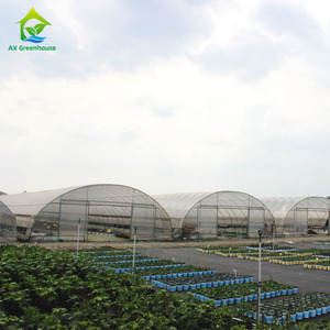 Serres agricoles à tunnel bas à prix abordable, structure en acier galvanisé commercial, film résistant aux UV - Product Image 5