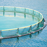 Cage à tilapias en HDPE pour le lac Victoria, Ouganda, pour l'aquaculture de la Source du Nil SON