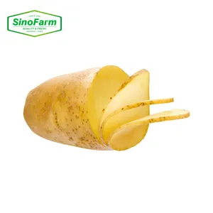 New Fresh Potato Yellow Food Potatoes Green Agriculture Vegetables Wholesale China Shandong