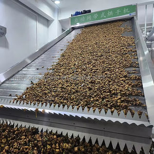 Sécheuse pour le séchage du poivre avec chauffage à la vapeur ou à l'électricité - Product Image 2