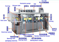 Machine de remplissage et de scellage d'ampoules en plastique, thermoformage de blisters pour l'emballage de liquides de 1 à 50 ml
