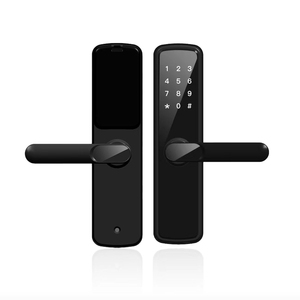 Single Latch Pen Smart <span class=keywords><strong>Code</strong></span> <span class=keywords><strong>Lock</strong></span> Waterdichte Ttlock Smart Hotel Deurslot Voor Thuis Appartement En Hotel Met Tthotel App - Product Image 2