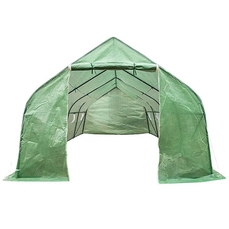 Fourni en usine PE toit de pointe 6x3x2m chenille poly tomate tunnel polytunnel kit de serre