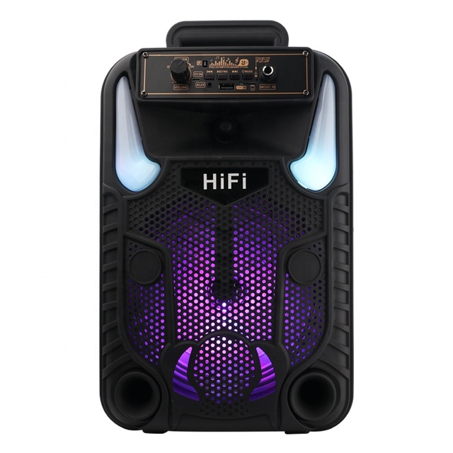 Wholesale 8inch Trolley Speaker BT USB FM AUX Karaoke TWS Led Light Wireless Speaker with Microphone RX-8147A