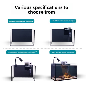 Aquarium Nano Rectangulaire Moderne Sud-Américain en Verre Ultra-Clair pour Bureau et Chambre, Écologique, pour Plantes Aquatiques et Aquascaping - Product Image 4