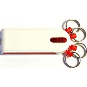 Mini lampe torche LED porte-clés 1" x 2,625" – Lumière d'<span class=keywords><strong>urgence</strong></span> portable et lumineuse – Cadeaux promotionnels d'entreprise – Logo personnalisé – Cadeaux événementiels - Product Image 2