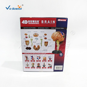 Structure du cerveau, modèle de cerveau 4D détachable et assemblable, modèle d'anatomie du cerveau humain - Product Image 3