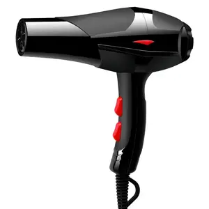 Low Price OEM Wholesale Big Wind Hair Dryer Heat Evenly Anion High Power Silent Cold and Hot Hair Blower