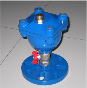 ISO9001 Certificat Simple Automatique De Boule Soupape De Décharge D'air - Product Image 3
