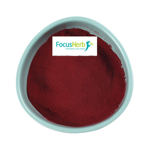 FocusHerb Complément alimentaire biologique de qualité alimentaire Poudre de betterave rouge E50 - Product Image 1