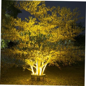 Cây ôm ánh sáng 12W DIY nối chèn mặt đất ngoài trời DMX cảnh quan vườn vòng ánh sáng <span class=keywords><strong>IP65</strong></span> không thấm nước dẫn chiếu sáng cây - Product Image 3