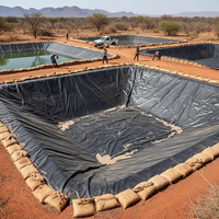 Géomembrane HDPE texturée simple ou double pour les bassins de rejet miniers et le traitement des eaux usées industrielles