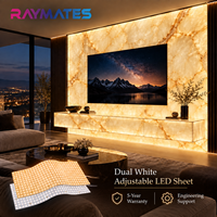 Feuille LED CCT 24V à 696 LED à Haute Uniformité RAYMATES, Feuille Lumineuse Blanche Flexible et Réglable pour Rétroéclairage de Musées et Galeries d'Art