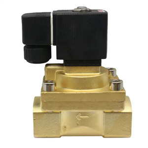 Look Solenoid Valve 50 <b>Bar</b> 220V AC Water Control For Industrial Use - Product Image 2
