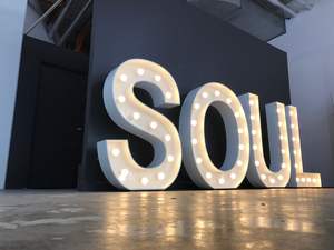 <span class=keywords><strong>Letras</strong></span> LED Iluminadas Personalizadas, Letreros LED <span class=keywords><strong>Gigantes</strong></span> para Bodas, Letreros LED de Exterior de 3 y 4 Pies de Alto - Product Image 5