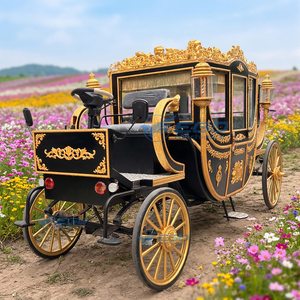 Nouvelle Carrosse Électrique de Luxe Européenne 6 Places, Modèle Princesse Royale, Sans Chevaux, Populaire pour les Visites Extérieures, Mariages, Parcs à Thème et Défilés - Product Image 1