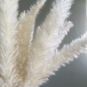 Image de <span class=keywords><strong>fleurs</strong></span> <span class=keywords><strong>séchées</strong></span>, 20 pièces par lot, de haute qualité, pour arrangement floral, <span class=keywords><strong>bouquet</strong></span> de roseaux des marais blancs - Product Image 2