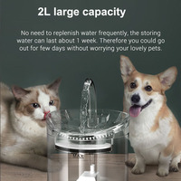 Fontaine à eau sans fil transparente en plastique avec filtre pour animaux de compagnie, fontaine à eau pour chat, fontaine à eau pour animaux de compagnie avec filtre, idéale pour le dropshipping