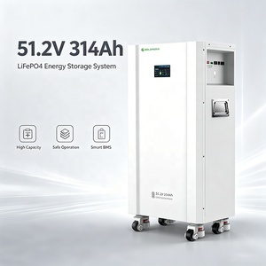 แบตเตอรี่ลิเธียมแบบพกพา 51.2V 314Ah สำหรับเก็บพลังงานภายในบ้าน 16kwh ชาร์จซ้ำได้ ระบบจัดการแบตเตอรี่แบบ Deep Cycle BMS LiFePO4 ชุดแบตเตอรี่ลิเธียมไอออนสำหรับบ้าน LF - Product Image 2