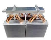 Unité de refroidissement à eau semi-conductrice 210W Module de refroidissement 12V Réfrigérateur électronique Peltier Refroidisseur thermoélectrique