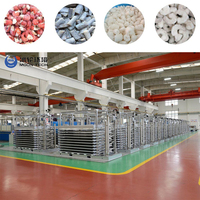 Industriële automatische fluidized bed vriezer, snelvriezer, concurrerende prijs voor snelvriezen van groenten en fruit