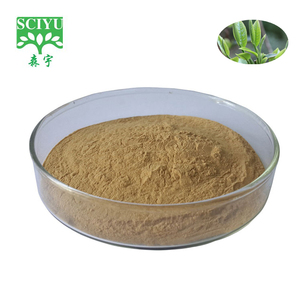 Bột Chiết Xuất Trà Xanh <span class=keywords><strong>Polyphenol</strong></span>, EGCG - Product Image 1