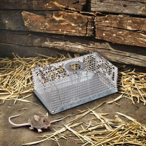 Piège à <span class=keywords><strong>souris</strong></span> en métal durable Cage à <span class=keywords><strong>souris</strong></span> humaine Écologique Réutilisable Capture <span class=keywords><strong>vivante</strong></span> pour la lutte contre les rongeurs Gestion des nuisibles - Product Image 6