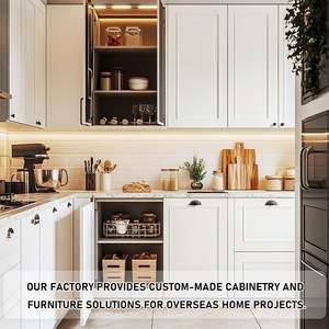 Devis rapide en 30 minutes, installation rapide de cuisines modulaires haut de gamme, cuisines personnalisées prêtes à l'emploi - Product Image 3