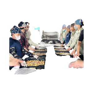 ลิ้นจี่แช่แข็งจำนวนมากผลไม้สดที่เหมาะสำหรับอาหารและเครื่องดื่ม - Product Image 1