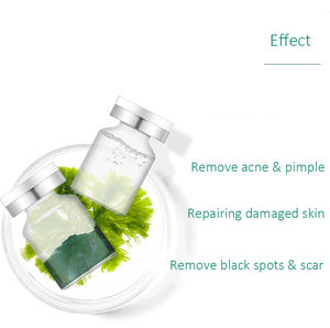 Sérum de microneeding bio à spicule éponge de marque privée blanchissant la peau ensemble de poudre de sérum d'algues anti-âge aux algues mocrineedling - Product Image 1