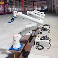 Robot Colaborativo de Seis Ejes FR5 de Gran Venta con Componentes Clave: Motor y PLC