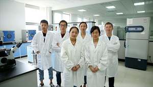 مكمل الماوس 1 مثبط الأجسام الذاتية ، C1INH - Product Image 2