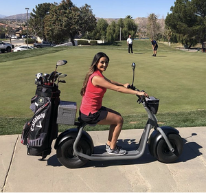 Scooter <span class=keywords><strong>électrique</strong></span> de golf à 2 roues Citycoco 2026 <span class=keywords><strong>avec</strong></span> porte-sac de golf, <span class=keywords><strong>batterie</strong></span> amovible, <span class=keywords><strong>vélo</strong></span> <span class=keywords><strong>électrique</strong></span> de golf - Product Image 6