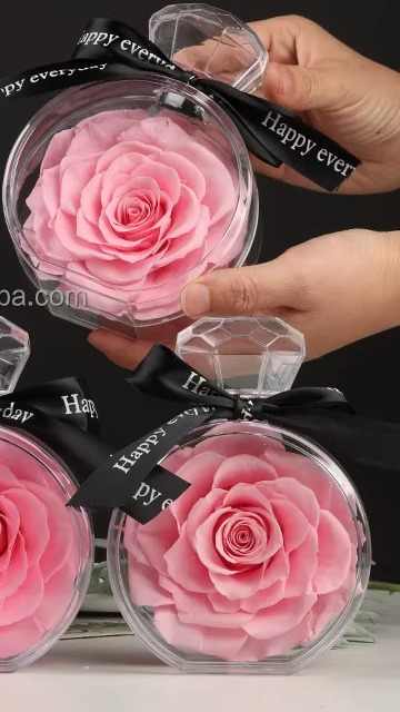 Acrylic Perfume Bottle Box with Everlasting Preserved Roses