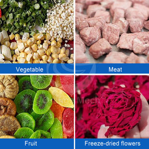 Liofilizador de aperitivos para mascotas de 8 bandejas ORME, 20kg por lote, máquina liofilizadora de frutas y verduras - Product Image 6