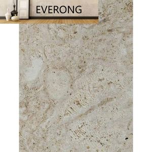 Natural blanco Beige mar Coralstone agujeros sin relleno crema Beige Coral travertino <span class=keywords><strong>Coralina</strong></span> piedra losa azulejo pared Panel ladrillo - Product Image 3