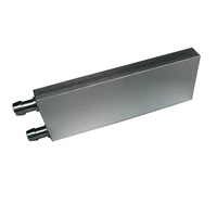 40*160*15mm Aluminium Radiateur CPU Bloc de refroidissement par eau Boîtier d'ordinateur Refroidisseur de liquide Plaque de refroidissement par eau