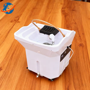 أحدث حوض غسيل شعر محمول بدون سباكة مع خزان مياه لعلاج فروة الرأس في صالونات التجميل - Product Image 1