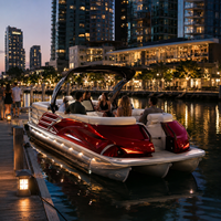 Bateau ponton de pêche sportive haut de gamme 12 places au style unique, console de luxe, salon avant, échelle de bain, écran LCD, pour la navigation en lac